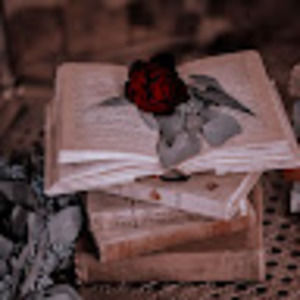 Meet your Posher, Addison